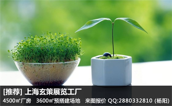 展覽綠植 展覽綠植