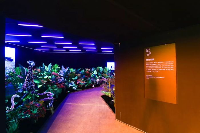 華為手機(jī)影像藝術(shù)展活動(dòng)攝影走廊 華為手機(jī)影像藝術(shù)展活動(dòng)攝影走廊